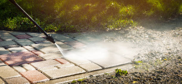 Best Animal Enclosure Cleaning  in Montour Falls, NY
